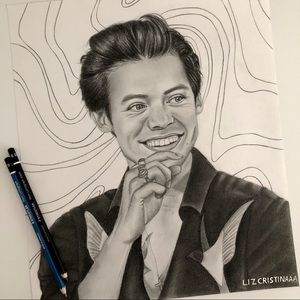 Harry Styles drawing